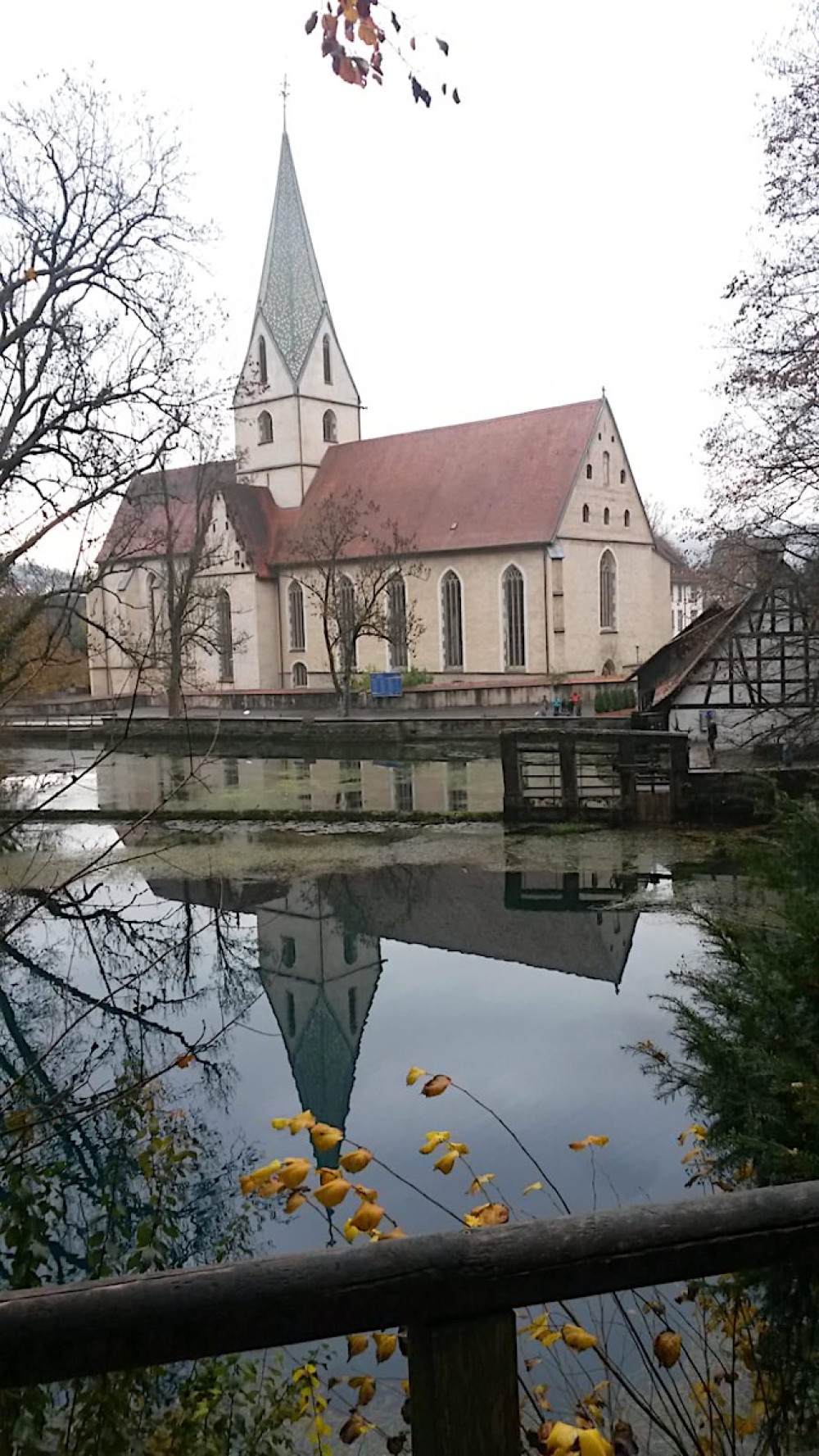 News | DLRG Ortsgruppe Altbach